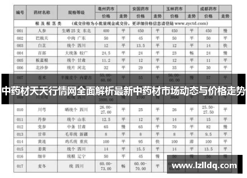 中药材天天行情网全面解析最新中药材市场动态与价格走势